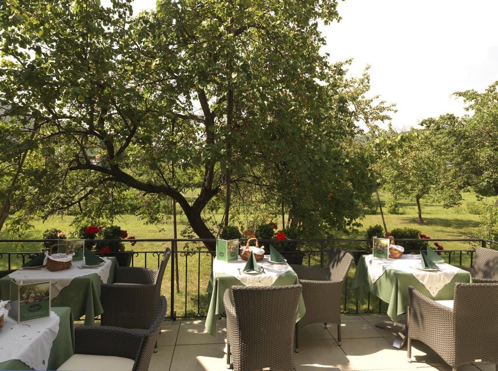 Donauhof - Hotel Garni Вайсенкирхен-ин-дер-Вахау Экстерьер фото