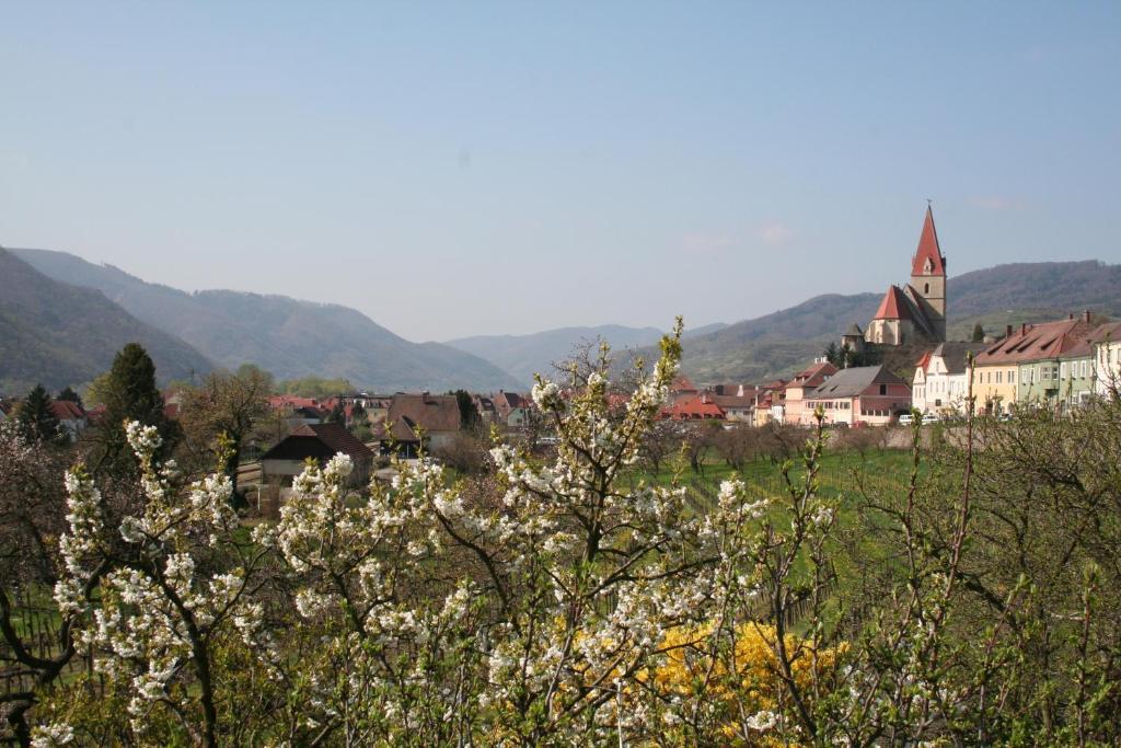 Donauhof - Hotel Garni Вайсенкирхен-ин-дер-Вахау Экстерьер фото